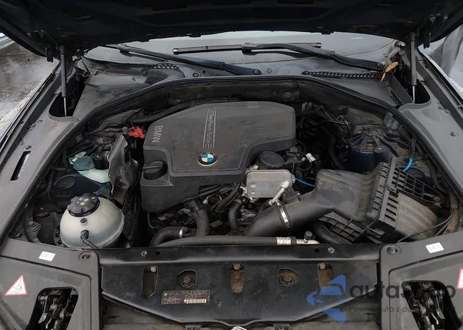 WBAXG5C57DD231780: 44109588