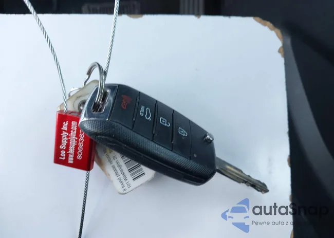 3KPFL4A7XHE084884: 44109701