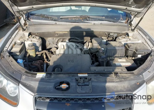 5NMSG13D99H307706: 44109792