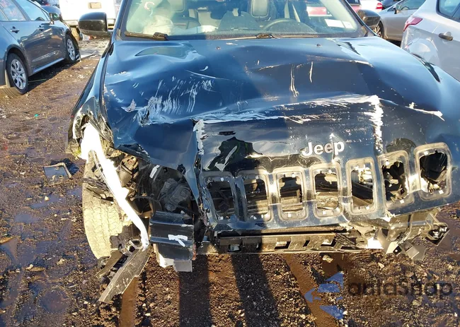 1C4PJMBX1ND543189: 44109982