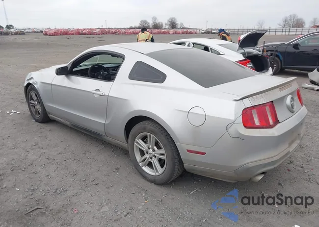 1ZVBP8AM7B5163140: 44109327