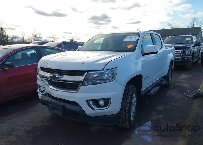 1GCGTCEN7H1313113: 44109388