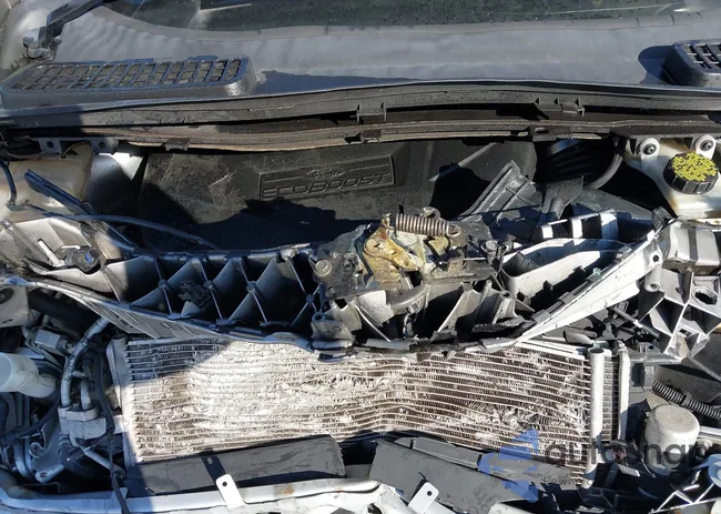 1FMCU9H91DUB89387: 44109462