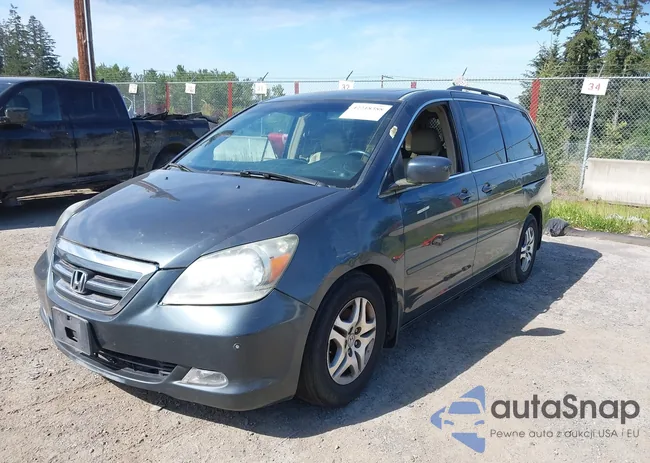 5FNRL38825B008667: 44109485