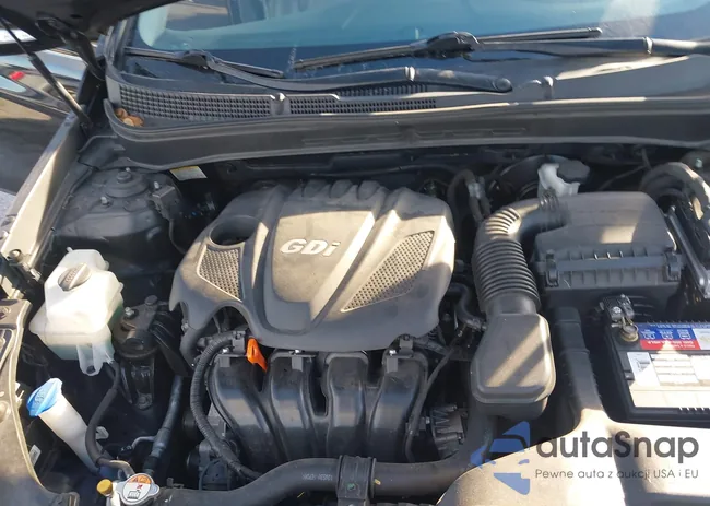 5NPEC4AC8DH572617: 44110718