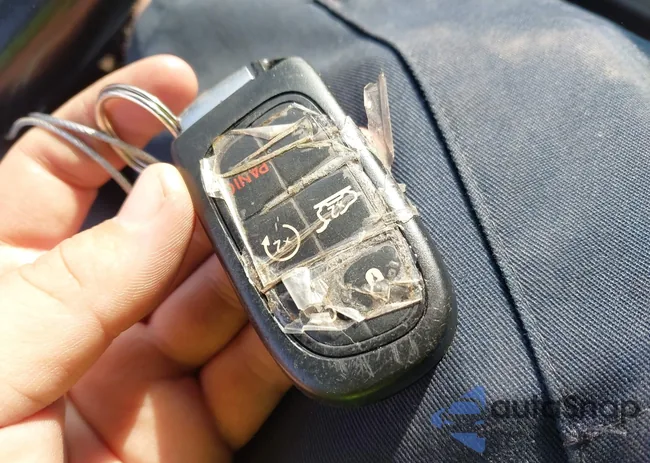 1C4PJLDBXFW617629: 44110753