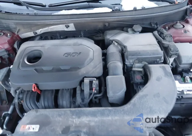 5NPE24AF5GH309499: 44110873