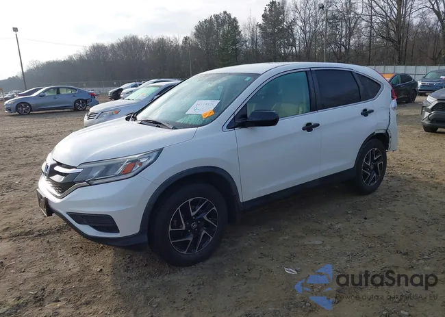 5J6RM4H48GL100389: 44110379