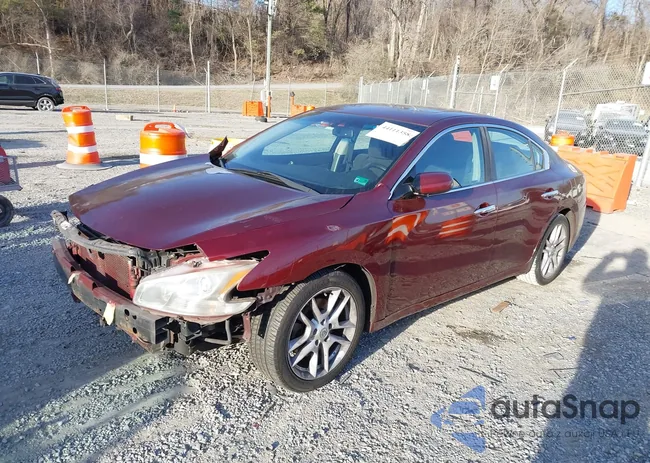 1N4AA5AP0DC800480: 44111358