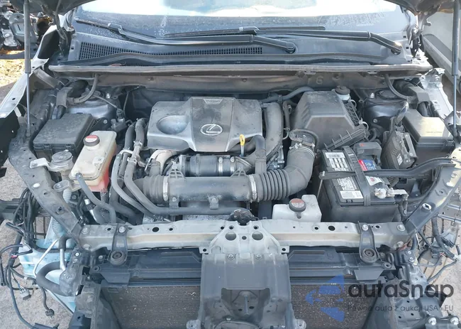 JTJBARBZ8G2061517: 44112497