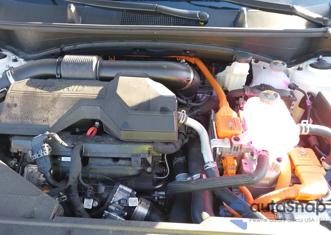 KNDPVDDG4T7277275: 44113615