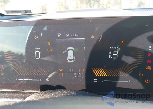 KNDPVDDG4T7277275: 44113615