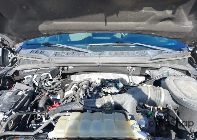 1FTEW1EP0KFB55678: 44113882