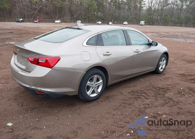 1G1ZD5ST7RF141943: 44113970