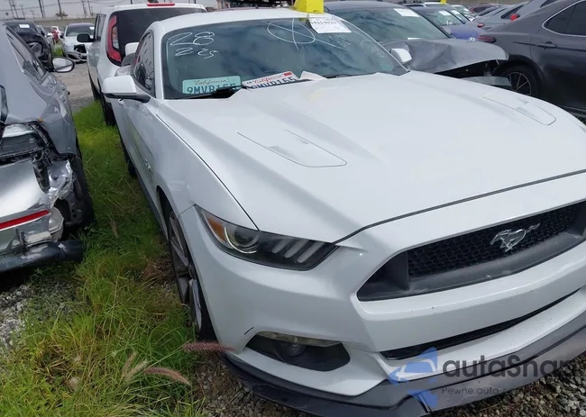 1FA6P8CF4H5344777: 44114029