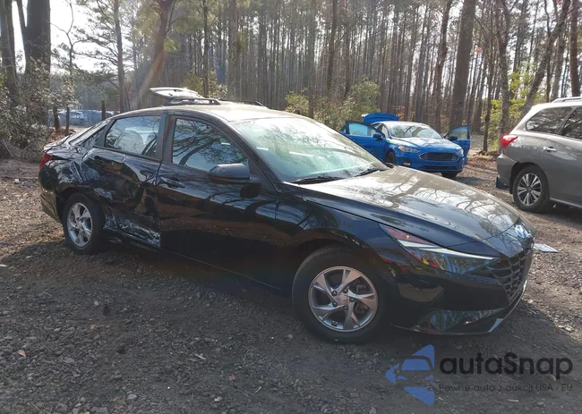 KMHLL4AG7PU556134: 44113163