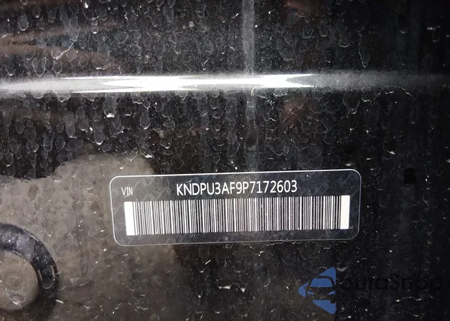 KNDPU3AF9P7172603: 44114817