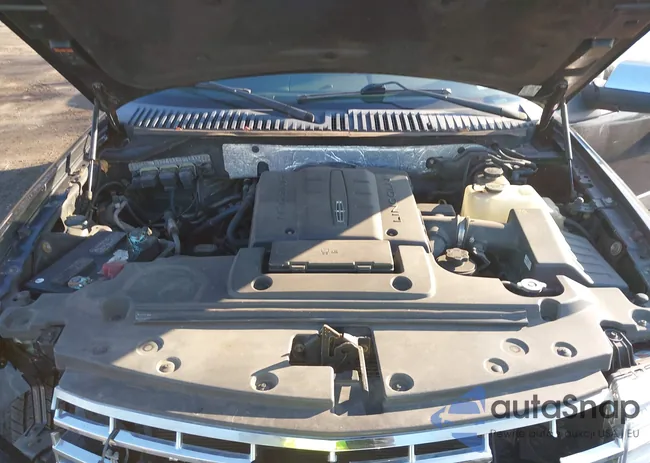 5LMJJ3J52EEL04995: 44115103