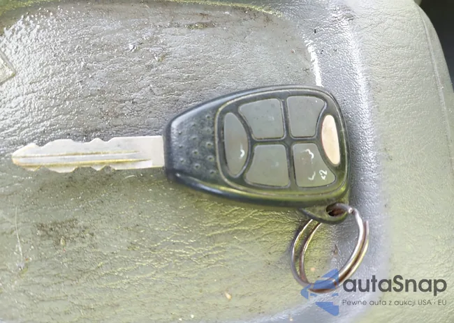 2D4GP44L16R717109: 44115785