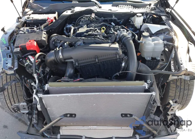 1FA6P8TH4R5109251: 44115791