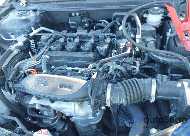 1HGCY1F39RA040406: 44115980