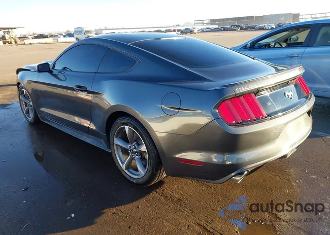 1FA6P8TH6H5344796: 44116515