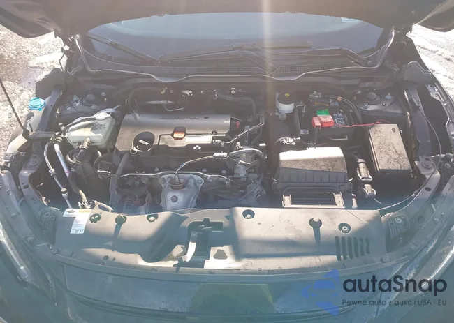 19XFC2F6XLE215504: 44116517