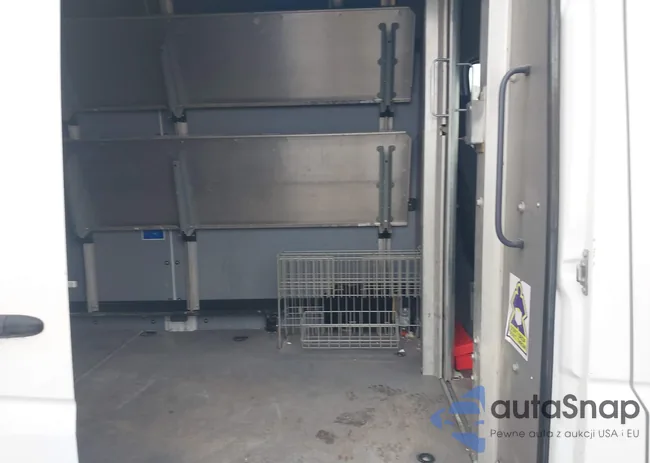 WD3PE8DB4FP135356: 44116551