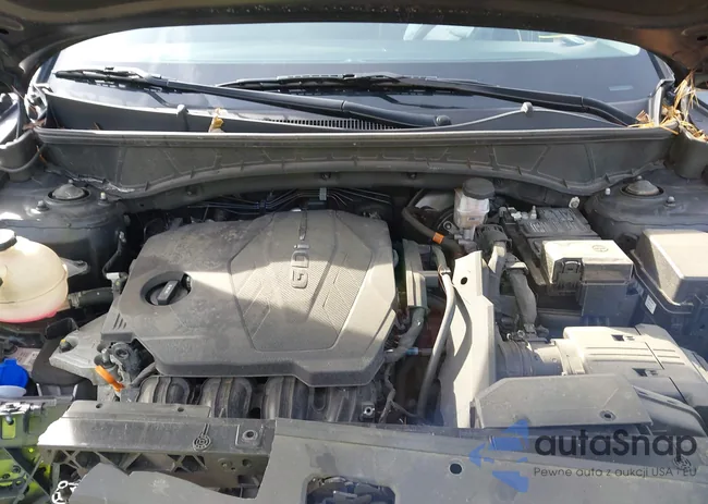 5NMJFCAE3PH252964: 44116769