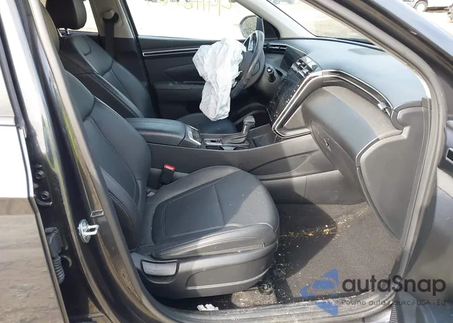 5NMJFCAE3PH252964: 44116769