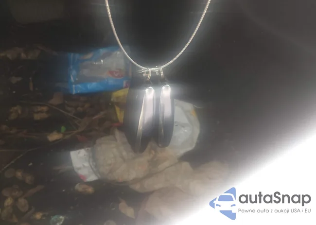 4S4BTAEC5L3251622: 44116861