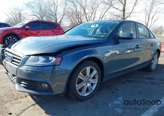 WAUBFAFL6AN029177: 44116885