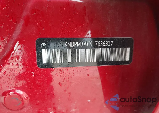 KNDPM3AC9L7836317: 44116924