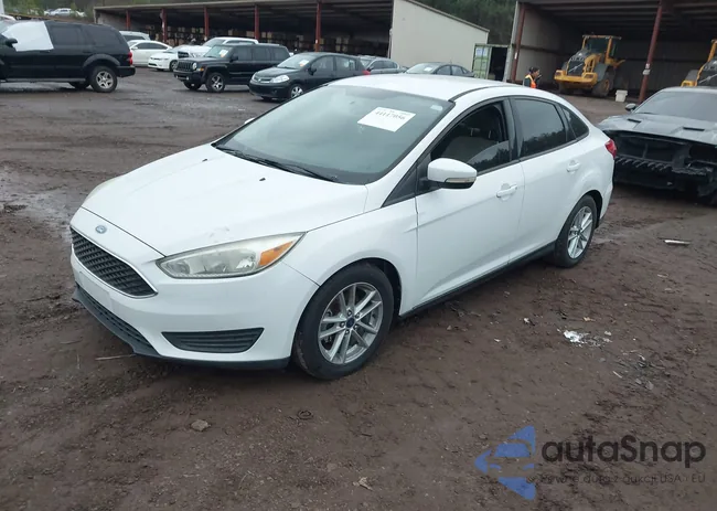 1FADP3F28F6238215: 44117056