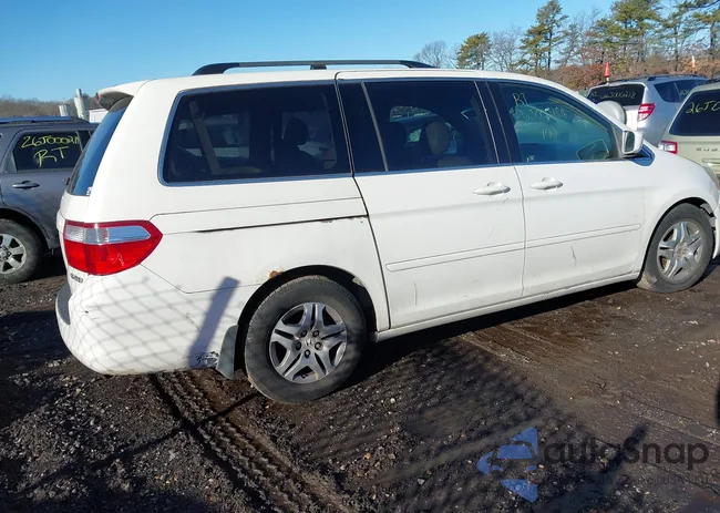 5FNRL38795B091943: 44116184