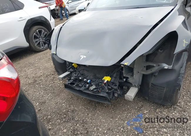 7SAYGDED6SF243935: 44117510