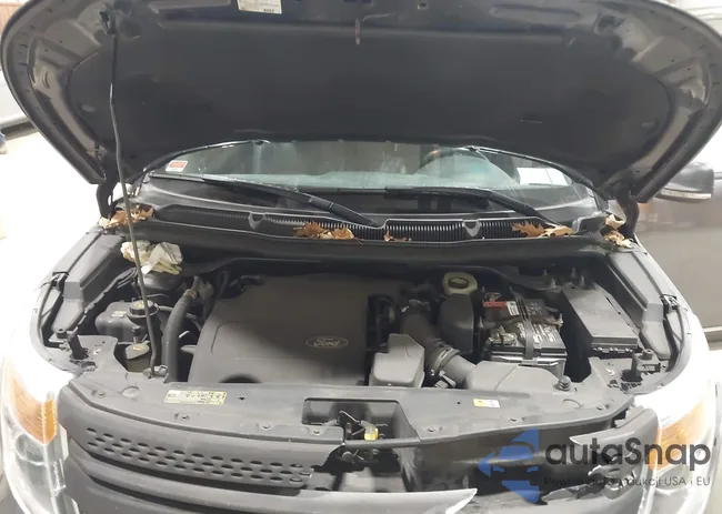 1FMHK8F80BGA89762: 44117521