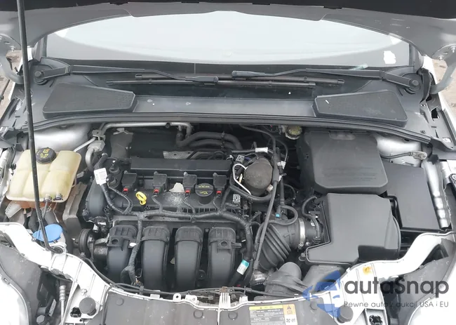 1FADP3F29EL235970: 44117828