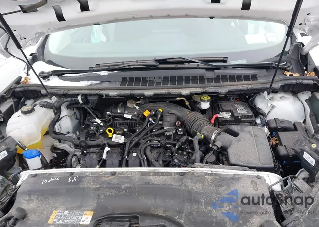 2FMPK4G9XRBB23929: 44117863