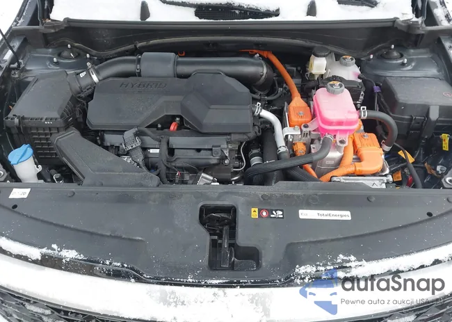 KNDPVCDGXS7203853: 44117997