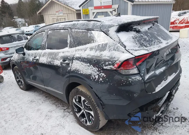 KNDPVCDGXS7203853: 44117997