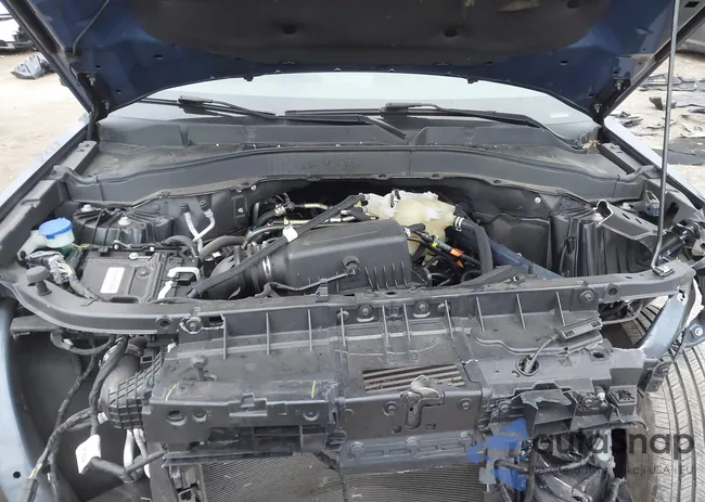 1FMSK8DH2MGC47904: 44117178