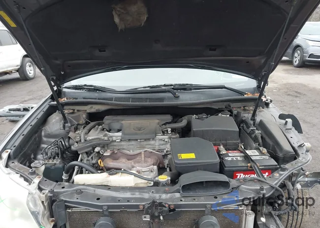 4T4BF1FK1CR229842: 44117251