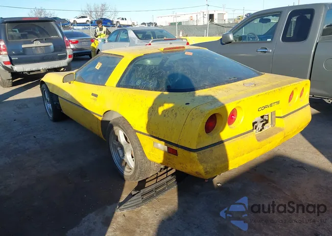 1G1YY2380L5108952: 44117328