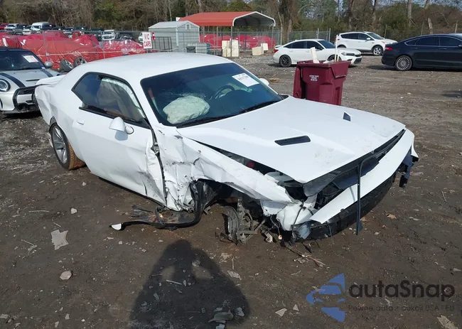 2C3CDZAG3KH672235: 44117398