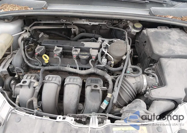 1FADP3F24DL189365: 44118832