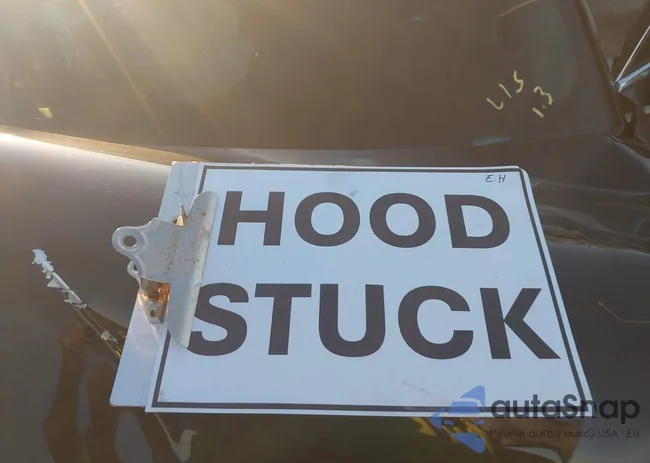 5LMCJ1CA9PUL19025: 44119662