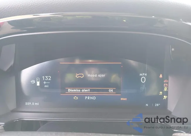 5LMTJ5DZXSUL19846: 44120093