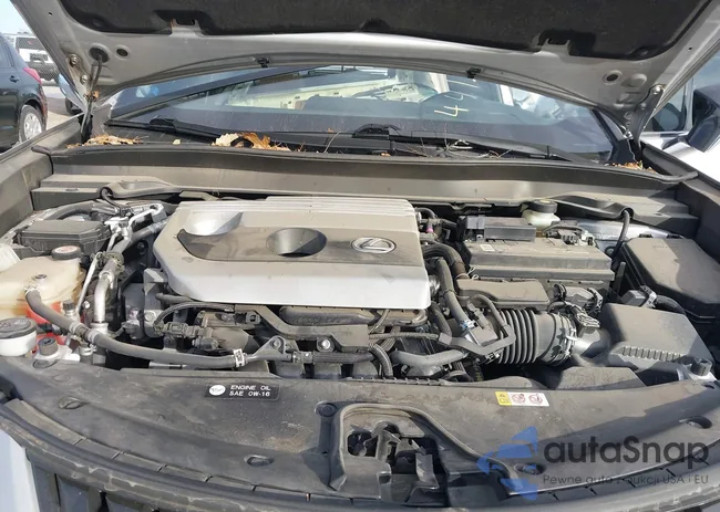 JTHY3JBH4K2004397: 44120102