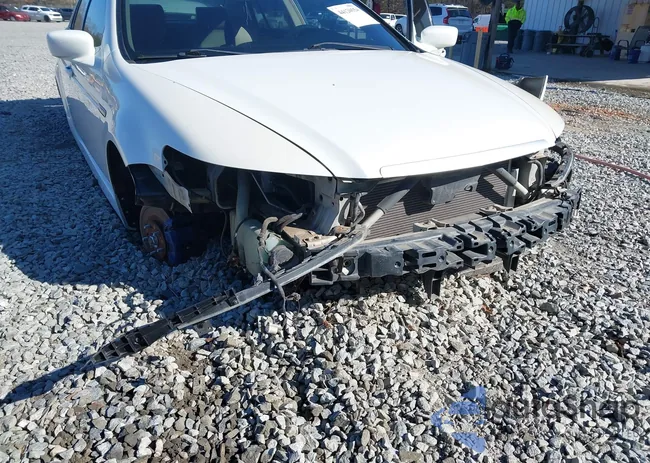 19UUA66215A026216: 44120554